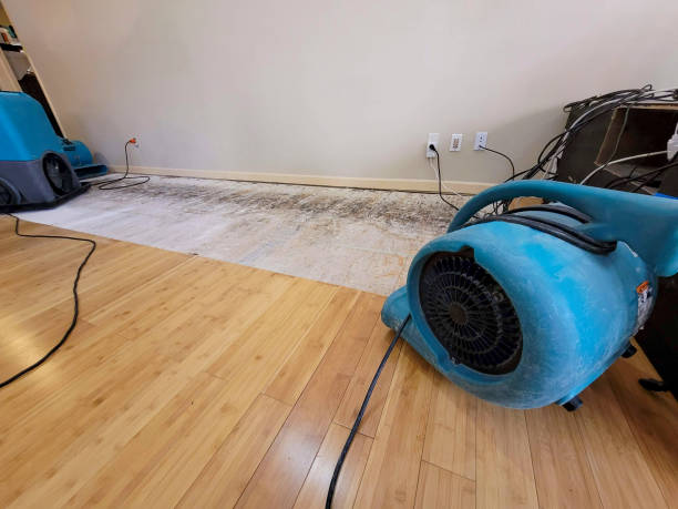 Professional Sewage Cleanup technician working in Paige, TX